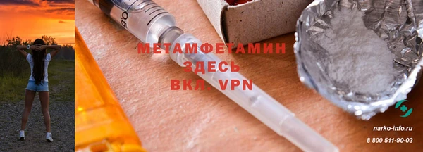прущие грибы Волоколамск