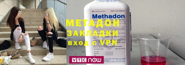 прущие грибы Волоколамск