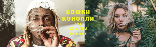 прущие грибы Волоколамск
