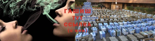 прущие грибы Волоколамск
