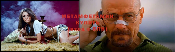 прущие грибы Волоколамск