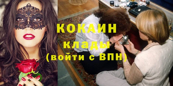 прущие грибы Волоколамск
