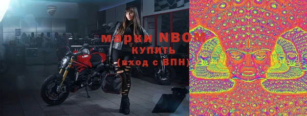 прущие грибы Волоколамск
