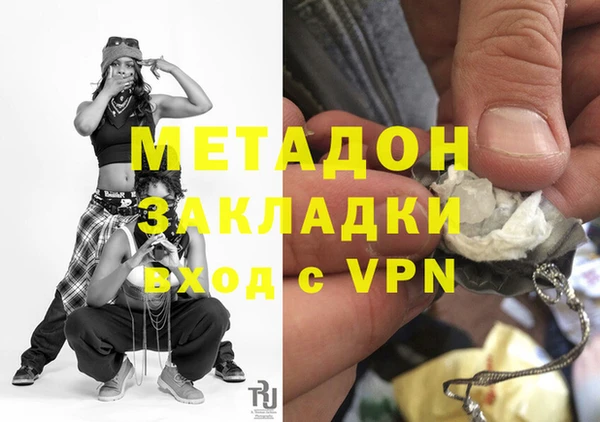 прущие грибы Волоколамск