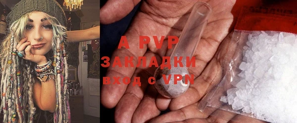 прущие грибы Волоколамск
