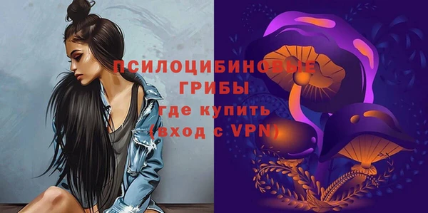 прущие грибы Волоколамск