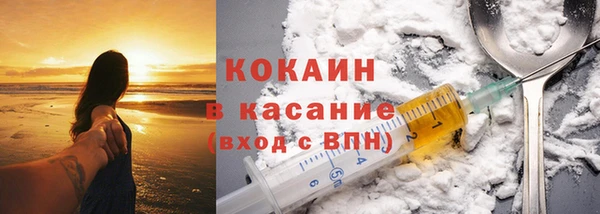 прущие грибы Волоколамск