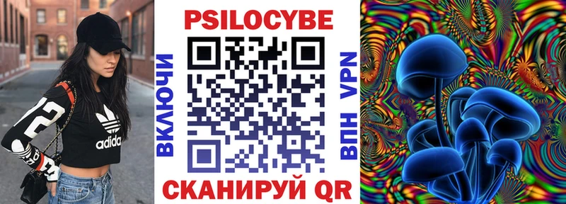 наркотики  Шадринск  Псилоцибиновые грибы Psilocybine cubensis 